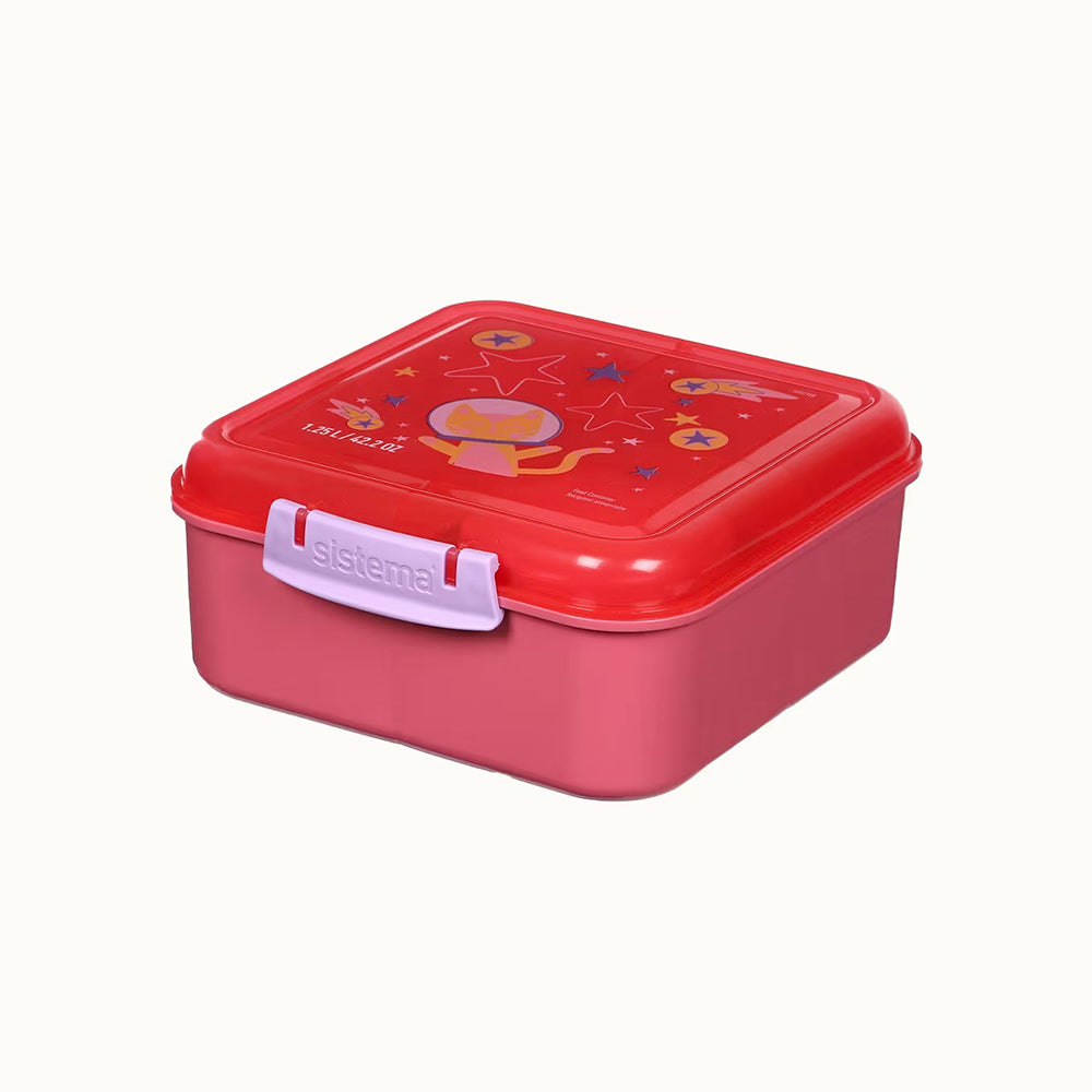 1.25L Bento Cube