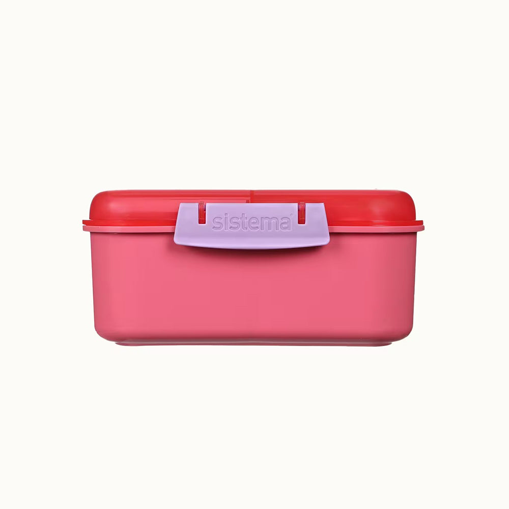 1.25L Bento Cube