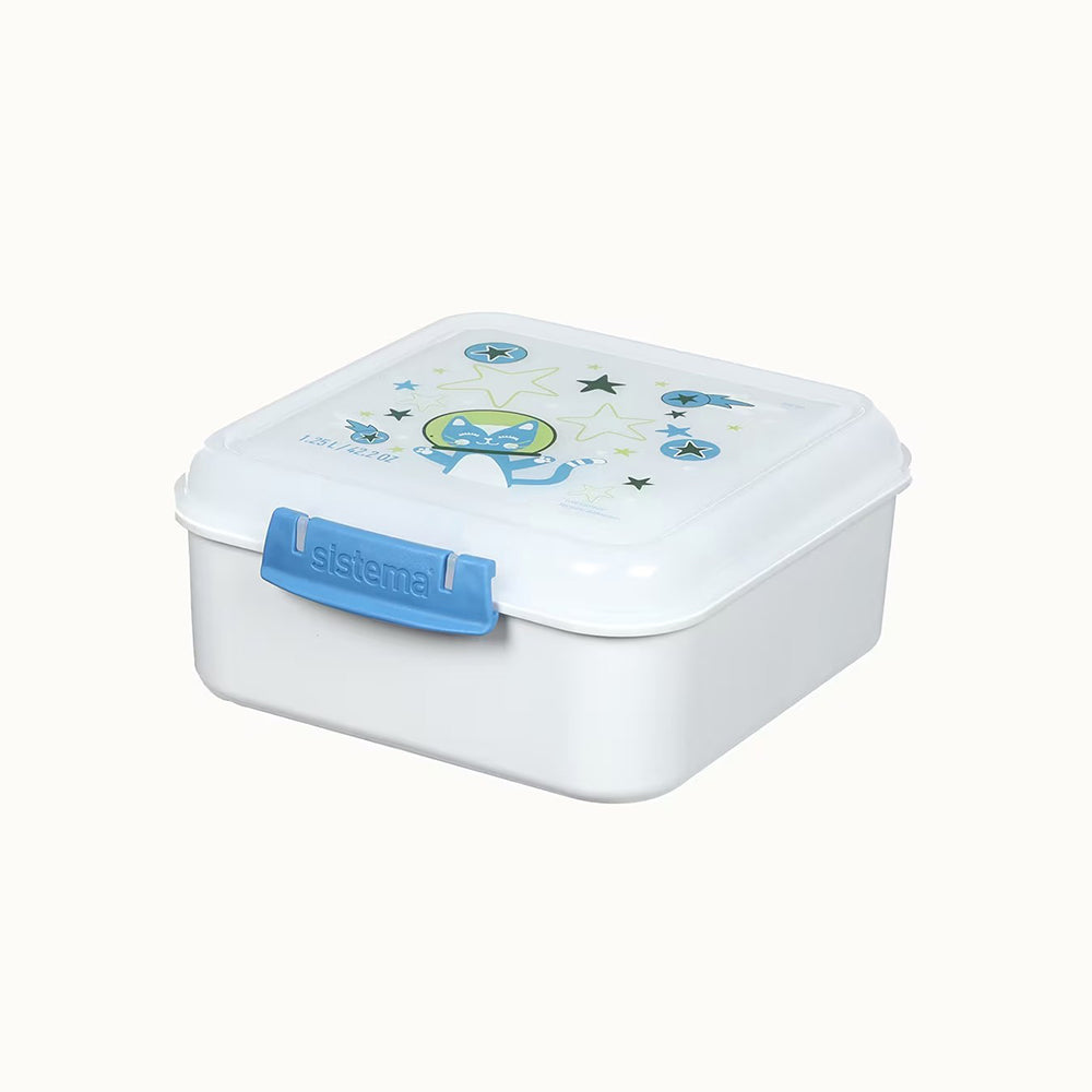 1.25L Bento Cube