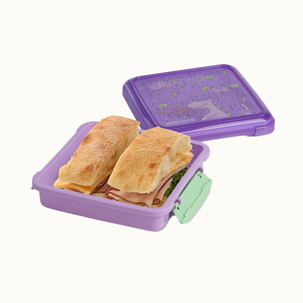 450ml Sandwich Box Expressions