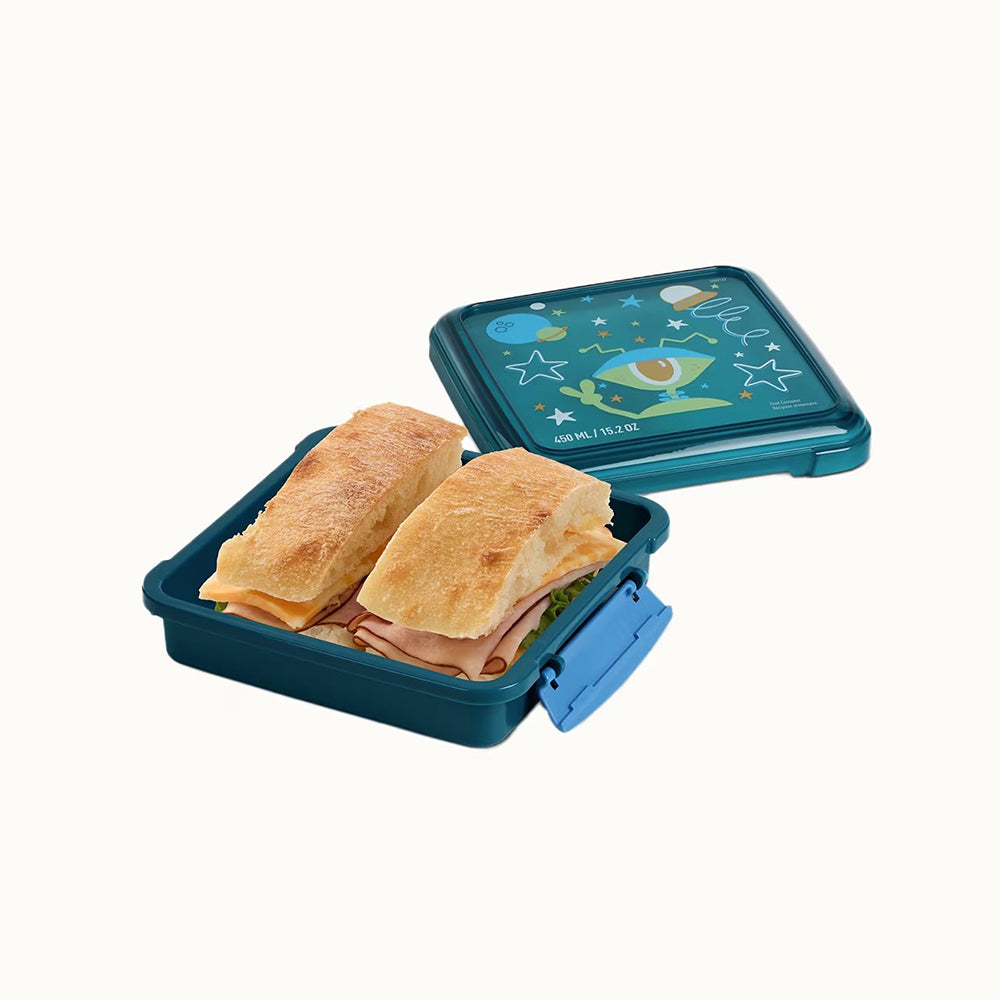 450ml Sandwich Box Expressions