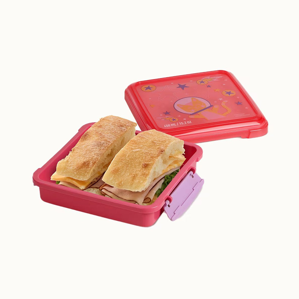 450ml Sandwich Box Expressions