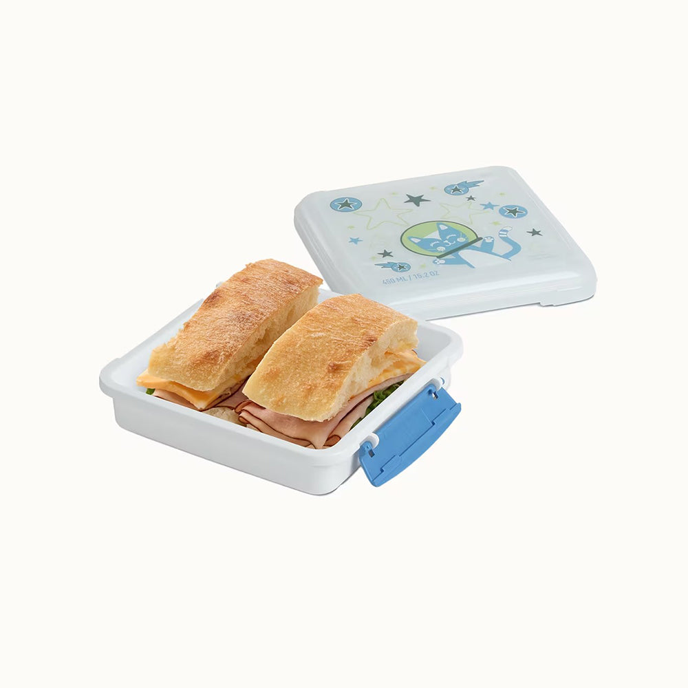 450ml Sandwich Box Expressions