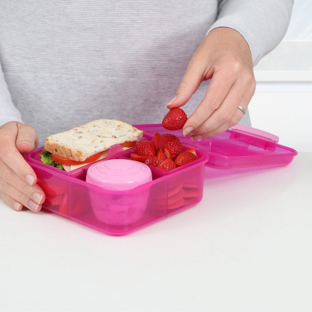 1.25L Bento Cube