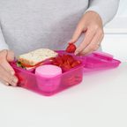 1.25L Bento Cube